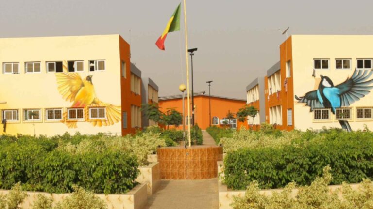 Université Alioune Diop de Bambey : formations, filières et enjeux pour l’emploi en 2026
