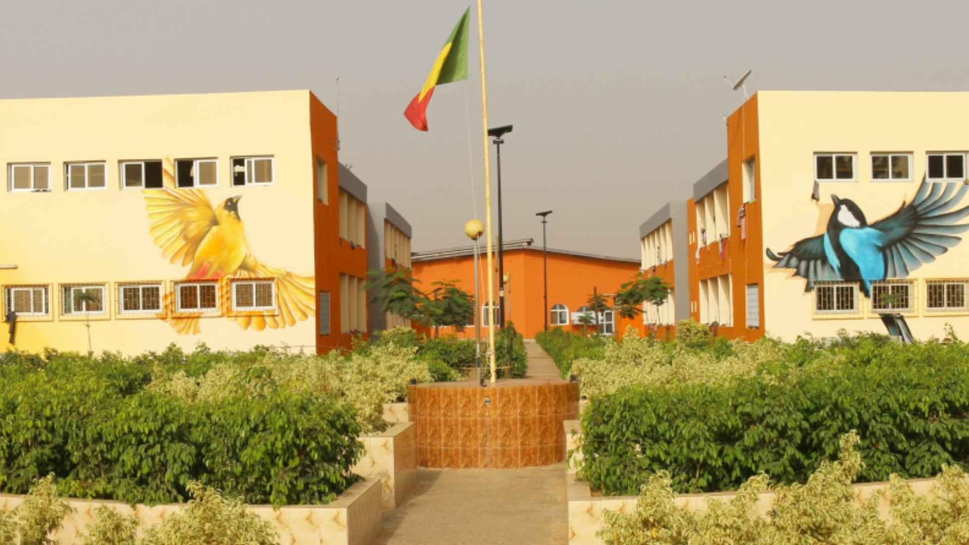 Université Alioune Diop de Bambey : formations, filières et enjeux pour l’emploi en 2026