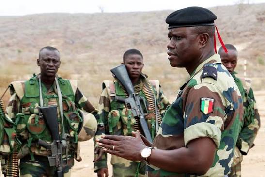 Concours Eaux et Forêts 2026 au Sénégal : tout ce qu&rsquo;il faut savoir avant de candidater